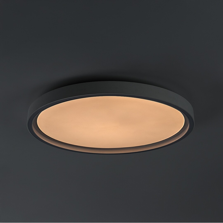 Rabalux - hämardatav LED-laelamp LED/31W/230V IP40 3000-6500K, läbimõõt 41,5 cm + kaugjuhtimispult