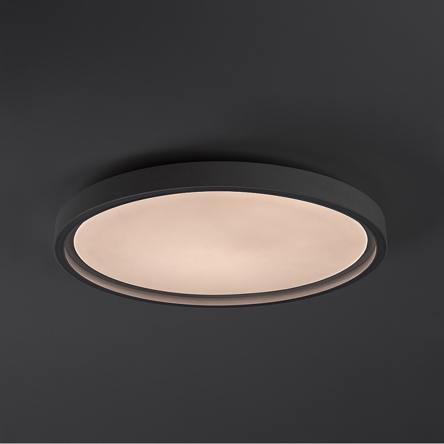 Rabalux - hämardatav LED-laelamp LED/31W/230V IP40 3000-6500K, läbimõõt 41,5 cm + kaugjuhtimispult