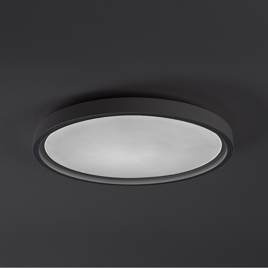 Rabalux - hämardatav LED-laelamp LED/31W/230V IP40 3000-6500K, läbimõõt 41,5 cm + kaugjuhtimispult