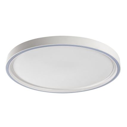 Rabalux - hämardatav LED-laelamp LED/31W/230V IP40 3000-6500K, läbimõõt 41,5 cm + kaugjuhtimispult