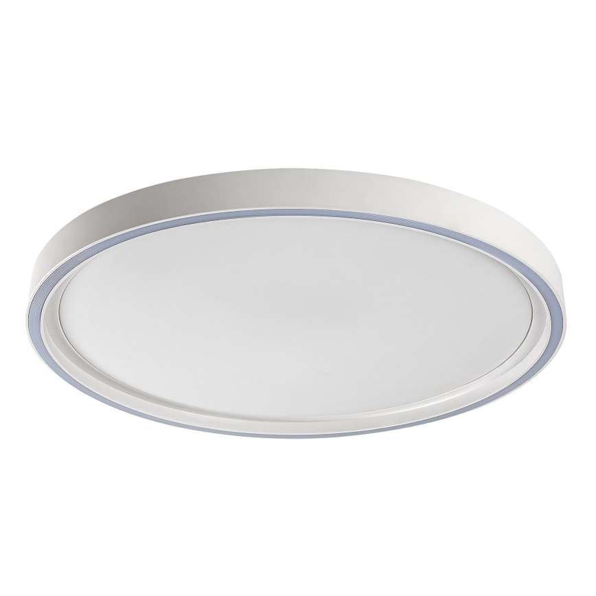 Rabalux - hämardatav LED-laelamp LED/31W/230V IP40 3000-6500K, läbimõõt 41,5 cm + kaugjuhtimispult
