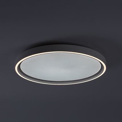 Rabalux - hämardatav LED-laelamp LED/31W/230V IP40 3000-6500K, läbimõõt 41,5 cm + kaugjuhtimispult
