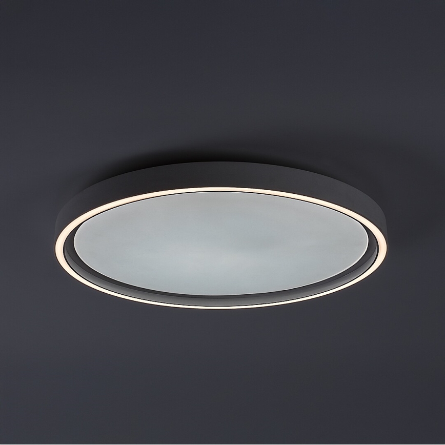 Rabalux - hämardatav LED-laelamp LED/31W/230V IP40 3000-6500K, läbimõõt 41,5 cm + kaugjuhtimispult