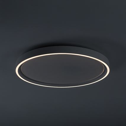 Rabalux - hämardatav LED-laelamp LED/31W/230V IP40 3000-6500K, läbimõõt 41,5 cm + kaugjuhtimispult