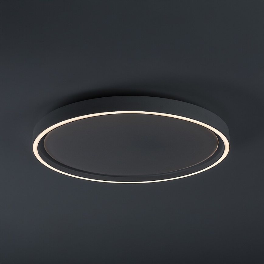Rabalux - hämardatav LED-laelamp LED/31W/230V IP40 3000-6500K, läbimõõt 41,5 cm + kaugjuhtimispult