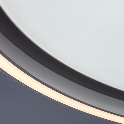 Rabalux - hämardatav LED-laelamp LED/31W/230V IP40 3000-6500K, läbimõõt 41,5 cm + kaugjuhtimispult