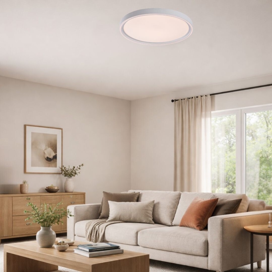 Rabalux - LED-hämardatav laelamp LED/54W/230V IP40 3000-6500K läbimõõt 52 cm + kaugjuhtimispult