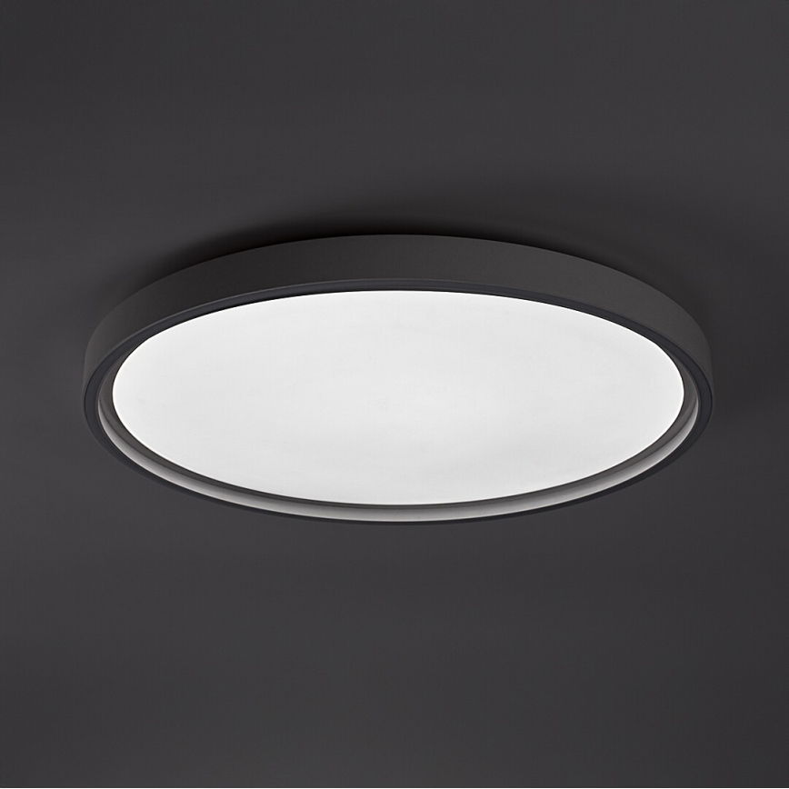 Rabalux - LED-hämardatav laelamp LED/54W/230V IP40 3000-6500K läbimõõt 52 cm + kaugjuhtimispult