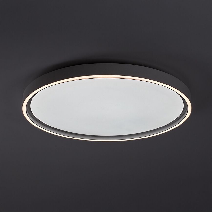 Rabalux - LED-hämardatav laelamp LED/54W/230V IP40 3000-6500K läbimõõt 52 cm + kaugjuhtimispult