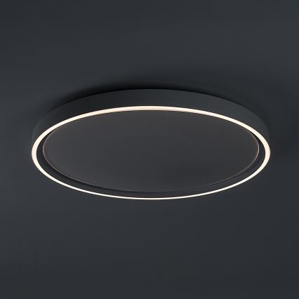 Rabalux - LED-hämardatav laelamp LED/54W/230V IP40 3000-6500K läbimõõt 52 cm + kaugjuhtimispult