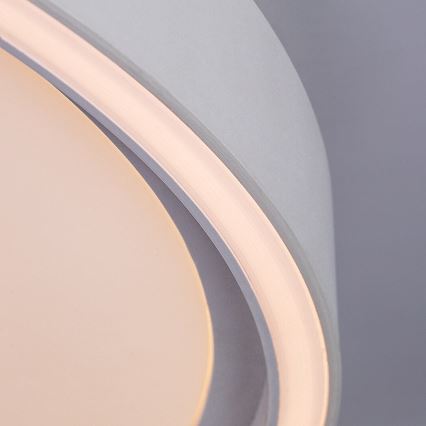Rabalux - LED-hämardatav laelamp LED/54W/230V IP40 3000-6500K läbimõõt 52 cm + kaugjuhtimispult