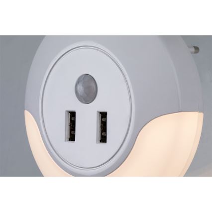 Rabalux - LED Öövalgusti pistikupessa koos anduriga 2xUSB LED/13,9W/230V 3000K