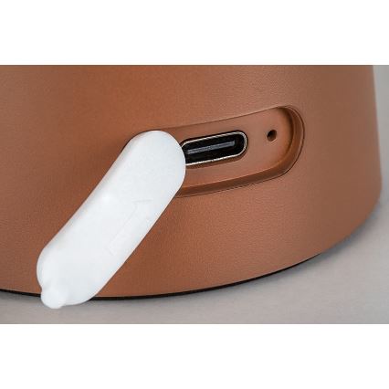 Rabalux - LED hämardatav puutetundlik laetav välisvalgusti LED/1,5W/5V IP44 1200 mAh USB pruun
