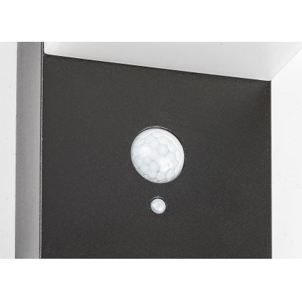 Rabalux - LED Päikesepaneeliga valgusti anduriga LED/6W/3,7V IP44 2200 mAh