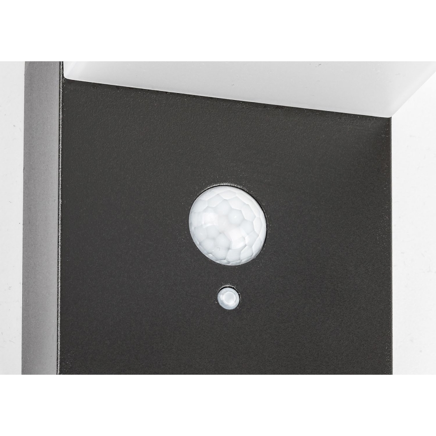 Rabalux - LED Päikesepaneeliga valgusti anduriga LED/6W/3,7V IP44 2200 mAh