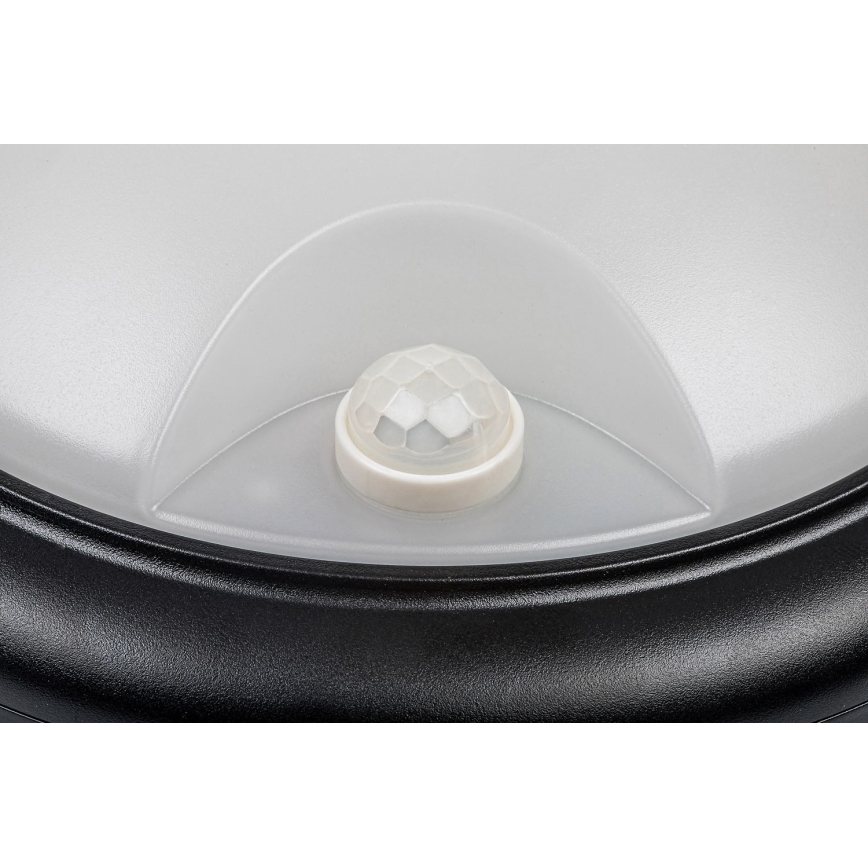 Rabalux - LED Väli seinavalgusti koos anduriga LED/15W/230V IP54