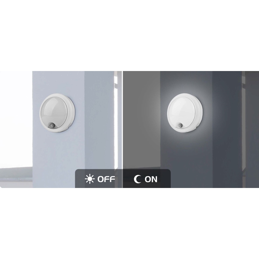 Rabalux - LED Väli seinavalgusti koos anduriga LED/15W/230V IP54