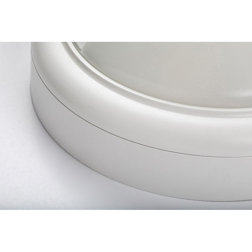 Rabalux - LED Väli seinavalgusti koos anduriga LED/15W/230V IP54