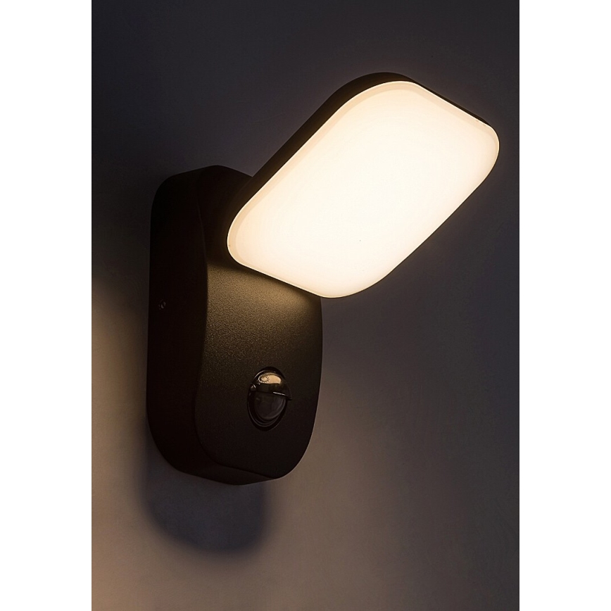 Rabalux - LED Paindlik välivalgusti seinale anduriga LED/12W/230V IP44