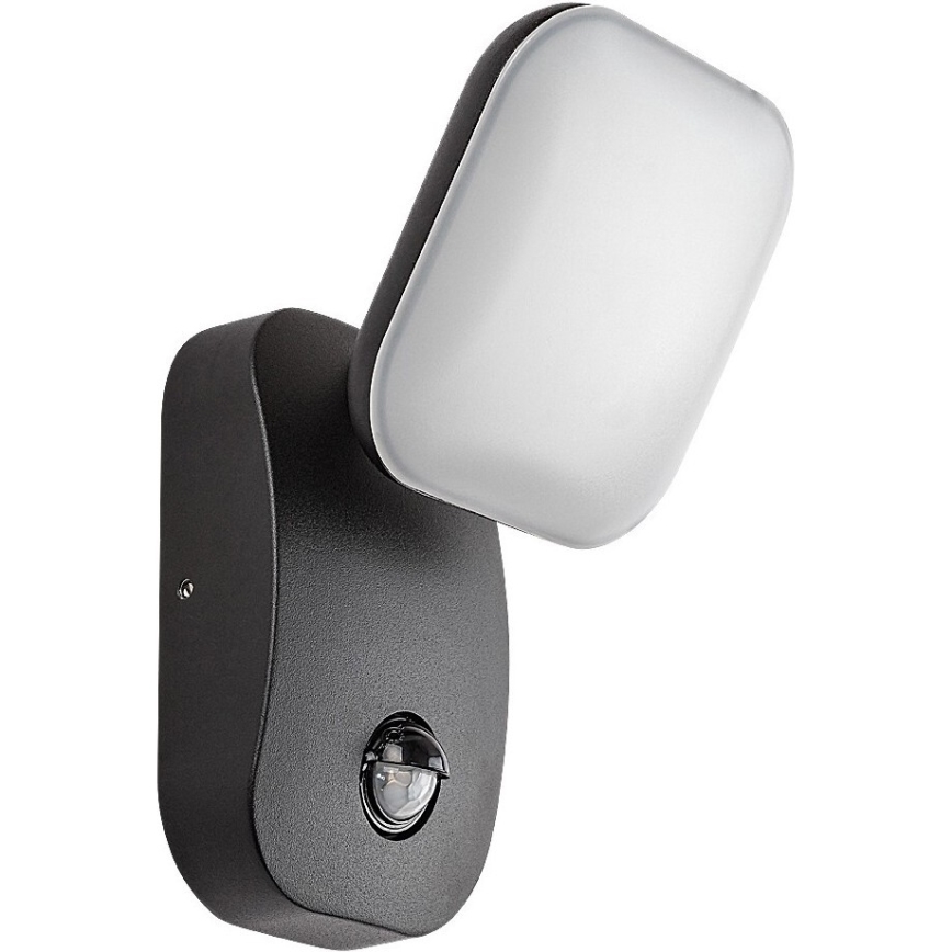 Rabalux - LED Paindlik välivalgusti seinale anduriga LED/12W/230V IP44