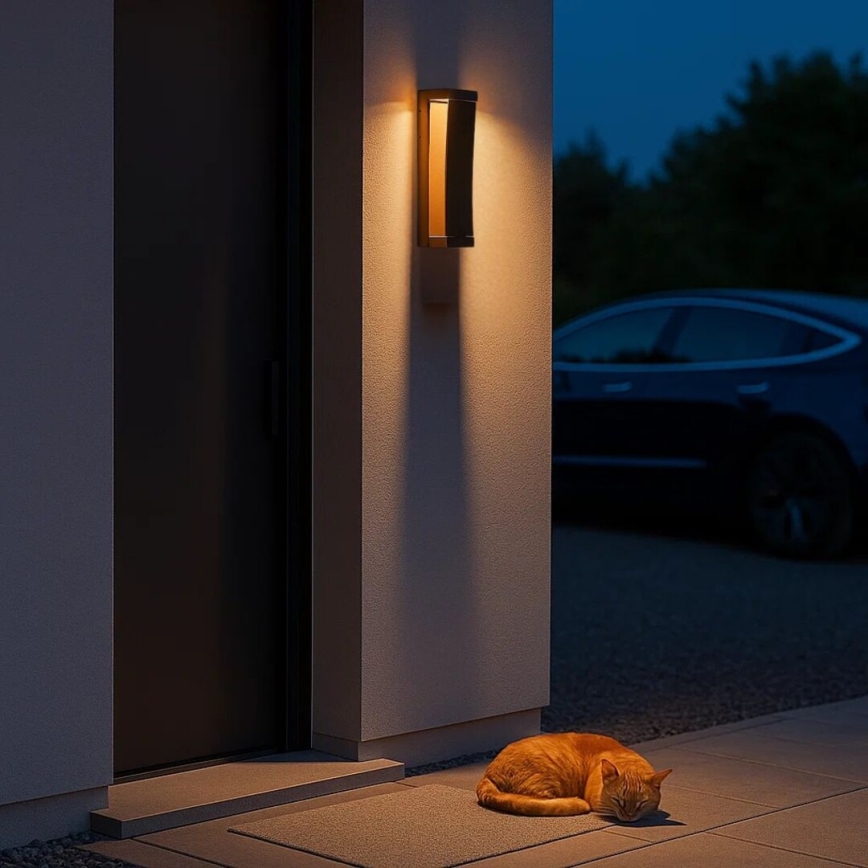 Rabalux - LED välisseinale paigaldatav seinavalgusti LED/13W/230V IP65 pruun