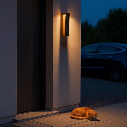 Rabalux - LED välisseinavalgusti LED/13W/230V IP65 pruun