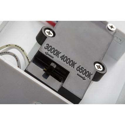 Rabalux - LED Väli seinavalgusti koos anduriga LED/9W/230V 2700/4000/6500K IP54 valge