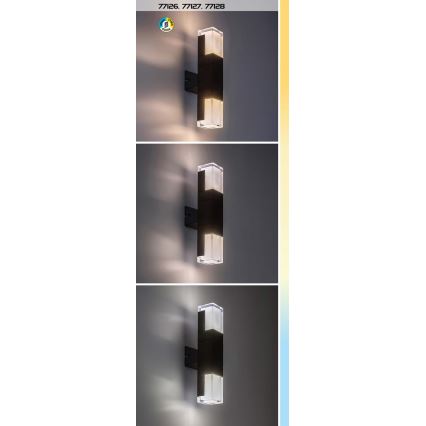 Rabalux - LED Väli seinavalgusti LED/12W/230V 2700/4000/6000K IP54