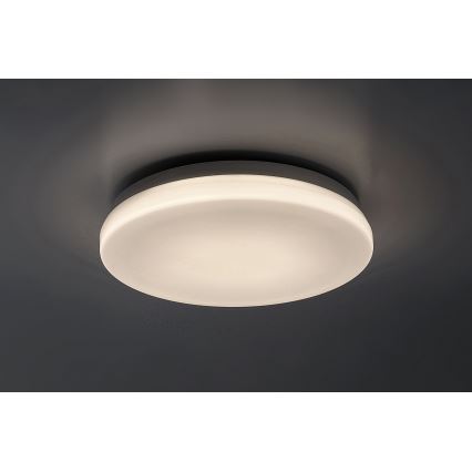 Rabalux - LED-vannitoa laelamp, 12 W, 230 V, 3000/4000/6000 K, IP44, Ø 24 cm