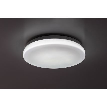 Rabalux - LED-vannitoa laelamp, 12 W, 230 V, 3000/4000/6000 K, IP44, Ø 24 cm