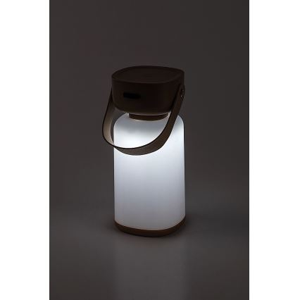 Rabalux - LED Väli hämardatav puutetundlik laetav laualamp LED/3W/5V IP44 pruun