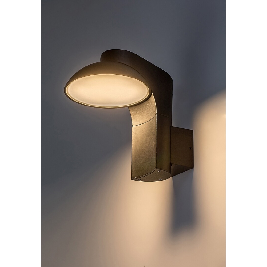 Rabalux - LED Väli seinavalgusti LED/12W/230V IP54