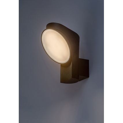 Rabalux - LED Väli seinavalgusti LED/12W/230V IP54
