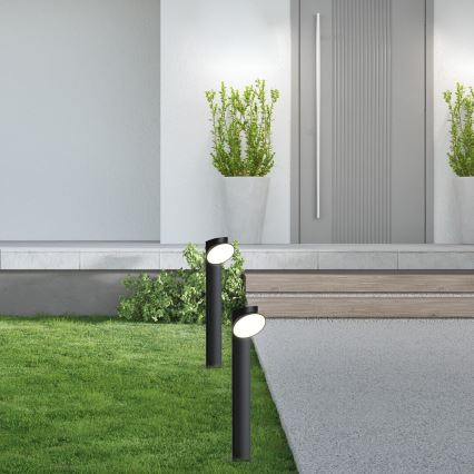 Rabalux - LED Välivalgusti LED/12W/230V IP54