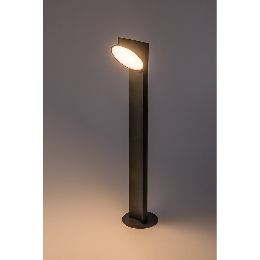 Rabalux - LED Välivalgusti LED/12W/230V IP54