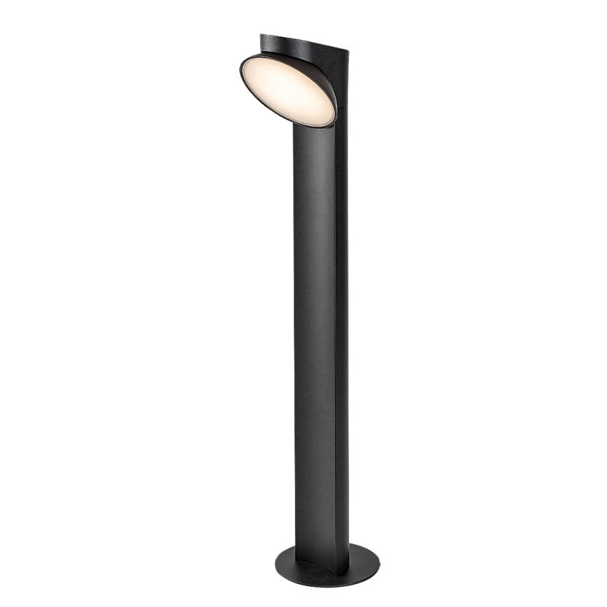 Rabalux - LED Välivalgusti LED/12W/230V IP54