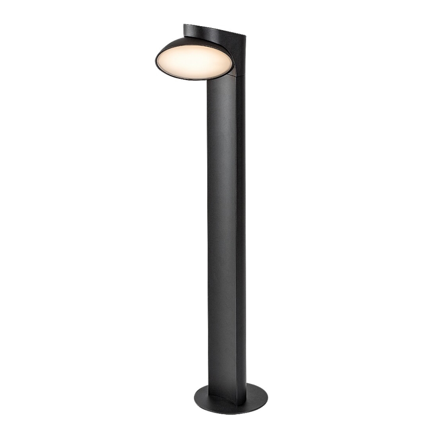 Rabalux - LED Välivalgusti LED/12W/230V IP54