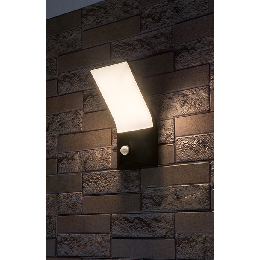 Rabalux - LED Väli seinavalgusti koos anduriga LED/10W/230V IP54
