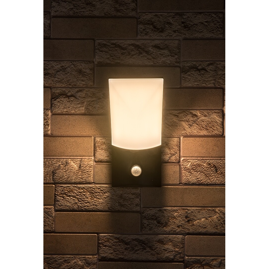 Rabalux - LED Väli seinavalgusti koos anduriga LED/10W/230V IP54
