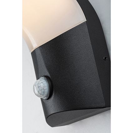 Rabalux - LED Väli seinavalgusti koos anduriga LED/10W/230V IP54