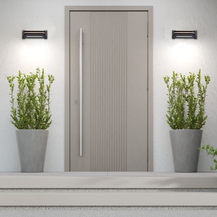 Rabalux - LED Väli seinavalgusti LED/20W/230V IP54
