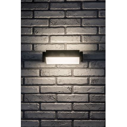 Rabalux - LED Väli seinavalgusti LED/18W/230V IP54