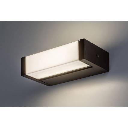 Rabalux - LED Väli seinavalgusti LED/18W/230V IP54