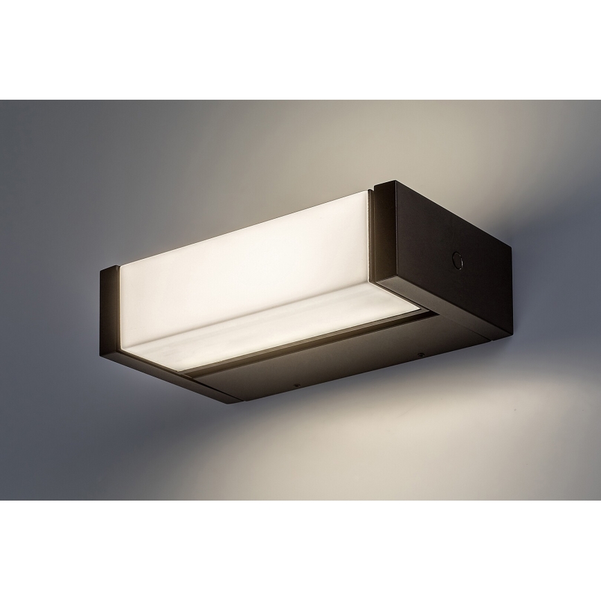 Rabalux - LED Väli seinavalgusti LED/18W/230V IP54