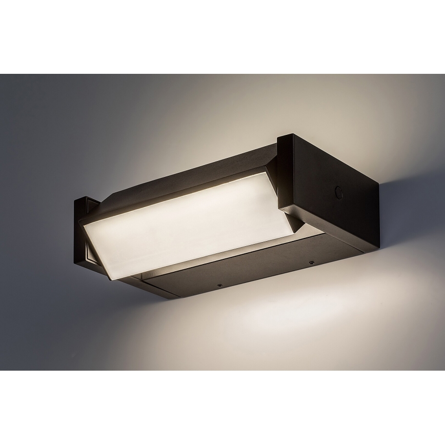 Rabalux - LED Väli seinavalgusti LED/18W/230V IP54