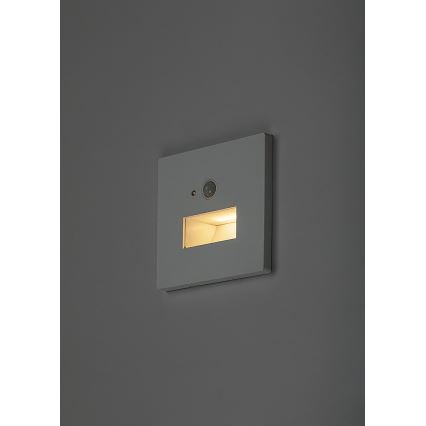 Rabalux - LED trepi valgusti liikumis- ja hämarusanduriga LED/1W/230V 3000/4500/6500K valge