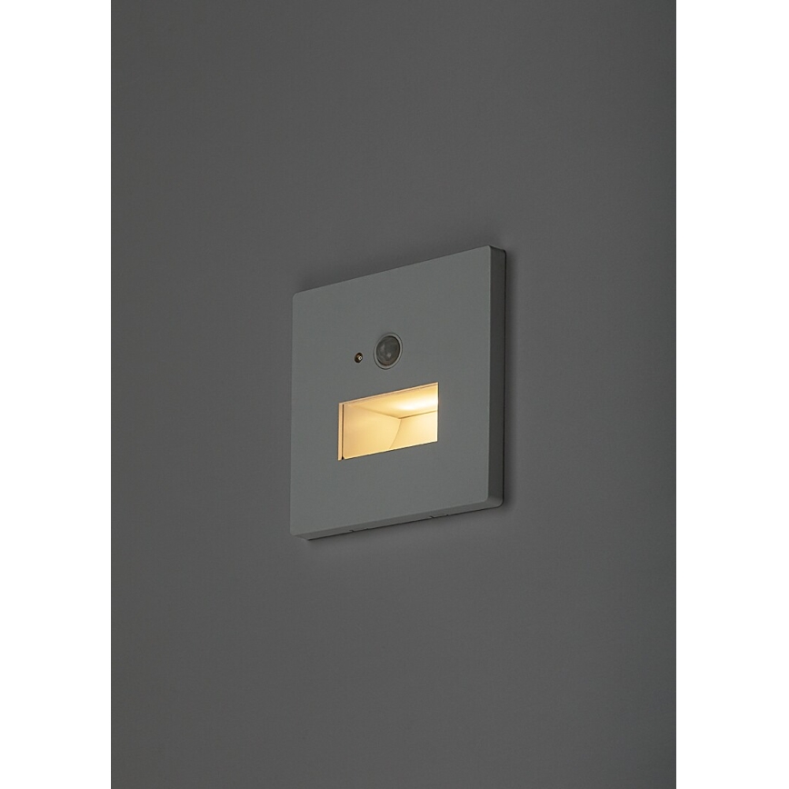 Rabalux - LED trepi valgusti liikumis- ja hämarusanduriga LED/1W/230V 3000/4500/6500K valge