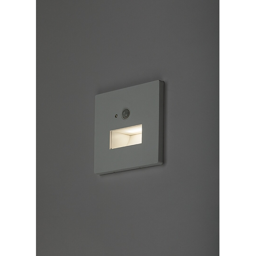 Rabalux - LED trepi valgusti liikumis- ja hämarusanduriga LED/1W/230V 3000/4500/6500K valge