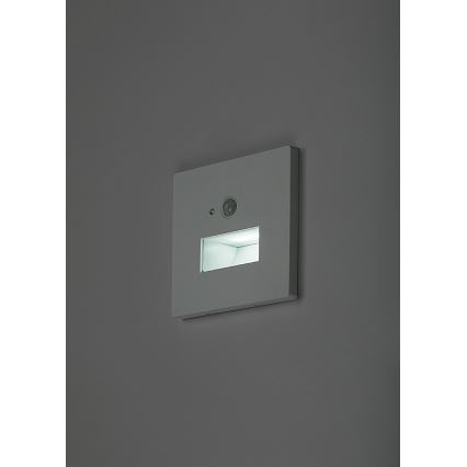 Rabalux - LED trepi valgusti liikumis- ja hämarusanduriga LED/1W/230V 3000/4500/6500K valge