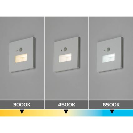 Rabalux - LED trepi valgusti liikumis- ja hämarusanduriga LED/1W/230V 3000/4500/6500K valge